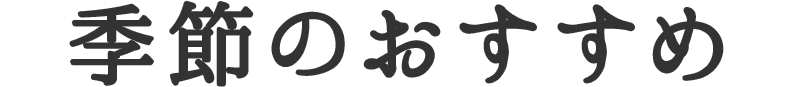 季節のおすすめ